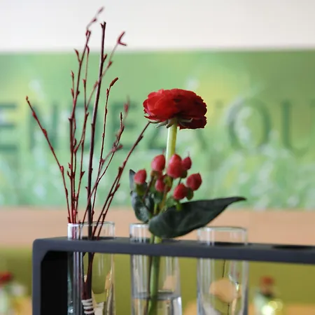 Aachen-hbf Hotel Akwizgran